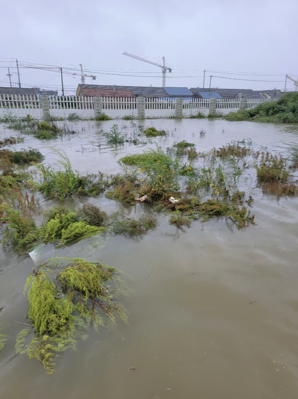 截屏2025-07-28 14 截屏2025-07-28 14