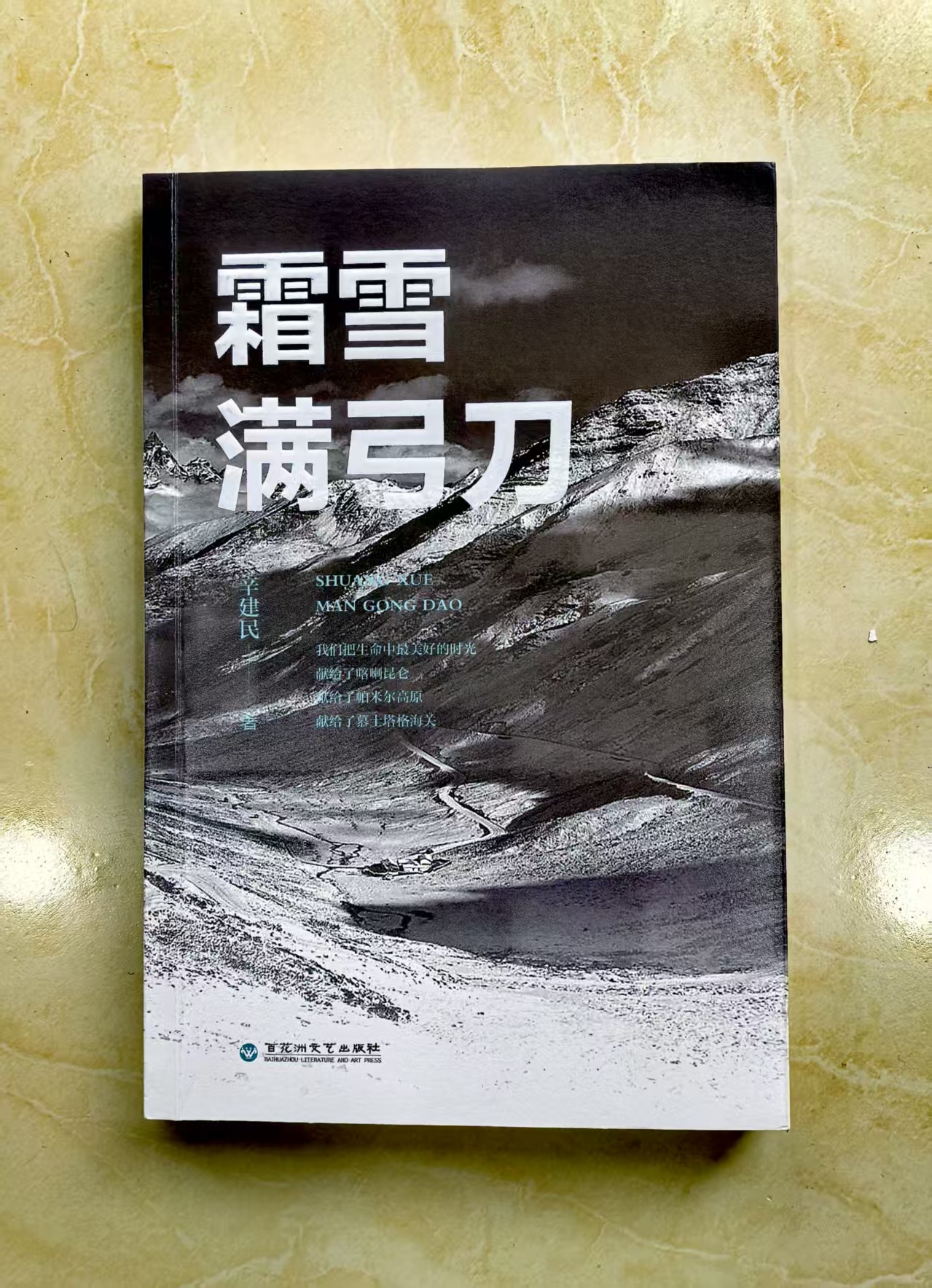 長篇小說《霜雪滿弓刀》作者辛建民