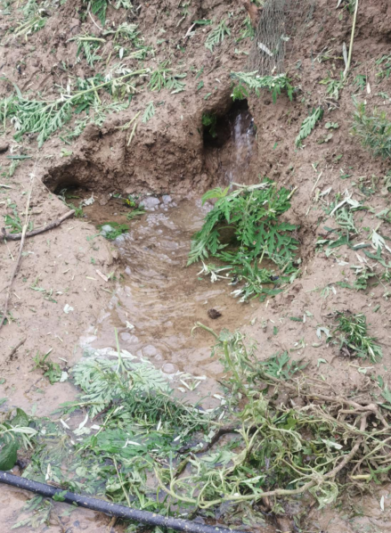 尚橋社區(qū)：圩堤現(xiàn)漏洞 干群齊搶險(xiǎn)