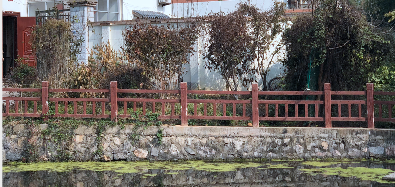 池塘邊的集體土地被人用來栽種果樹，還設(shè)置了柵欄。南報融媒體記者胥欣攝