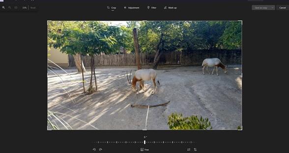 功能更強(qiáng)大!Win11照片應(yīng)用迎來(lái)更新:圖片編輯獲得重新設(shè)計(jì)