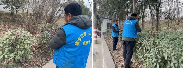 東陽社區(qū):修剪綠籬 美化環(huán)境